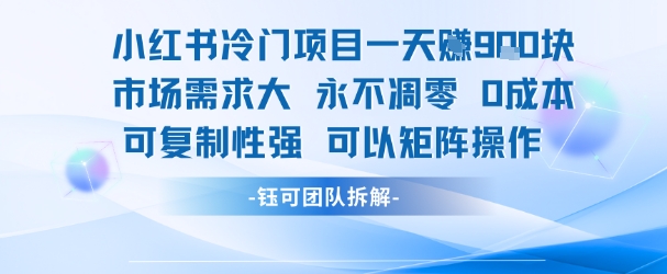 小红书冷门项目一天收益9张，市场需求大，0成本，可复制性强可以矩阵操作-网创猫