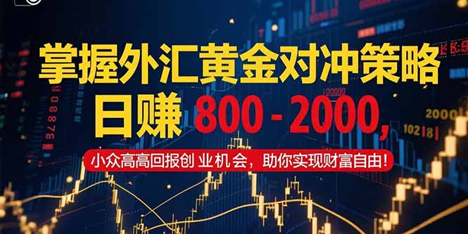 掌握外汇黄金对冲策略，日赚 800 – 2000，小众高回报创业机会，助你实…-网创猫