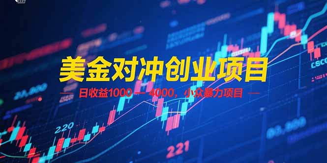 美金对冲创业项目，日收益 1000 – 4000，小众暴力项目-网创猫