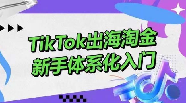 TikTok出海淘金，新手体系化入门，零基础快速入门，掌握短视频、直播带货等引流到变现的知识-网创猫