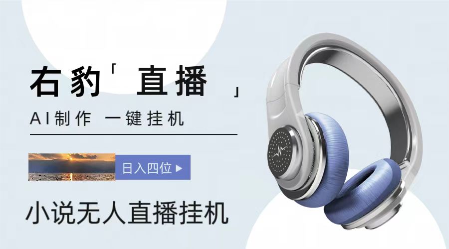 右豹小说无人直播挂机吸金项目，简单易行收益稳定， 月入1000+-网创猫