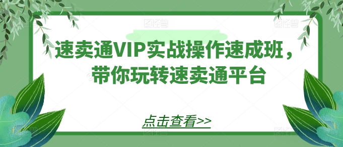 速卖通VIP实战操作速成班，带你玩转速卖通平台-网创猫