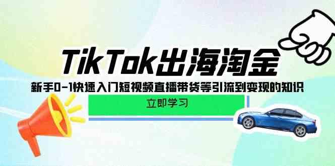 TikTok出海淘金，新手0-1快速入门短视频直播带货等引流到变现的知识-网创猫