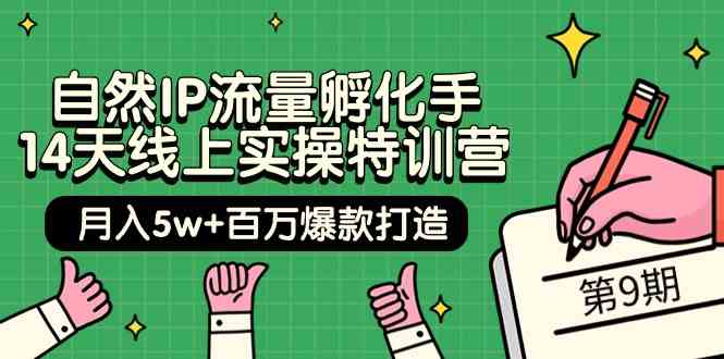 自然IP流量孵化手14天线上实操特训营【第9期】月入5w+百万爆款打造 (74节)-网创猫