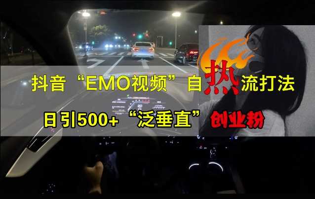 抖音EMO视频自热打法，日引500+“泛垂直”创业粉-网创猫