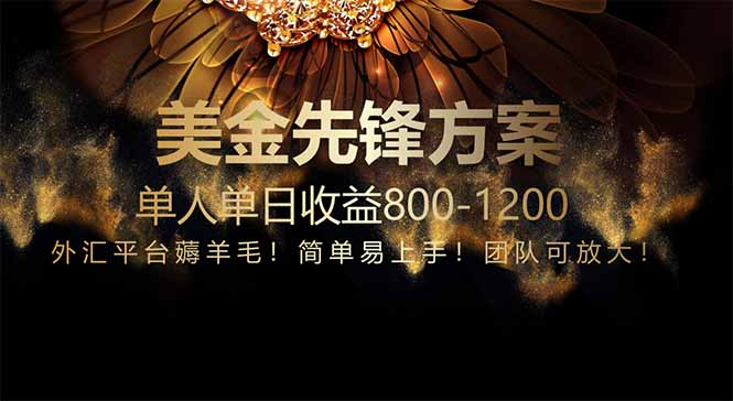 免费技术！小众赛道！一年布局抵三年努力，每日800+-网创猫