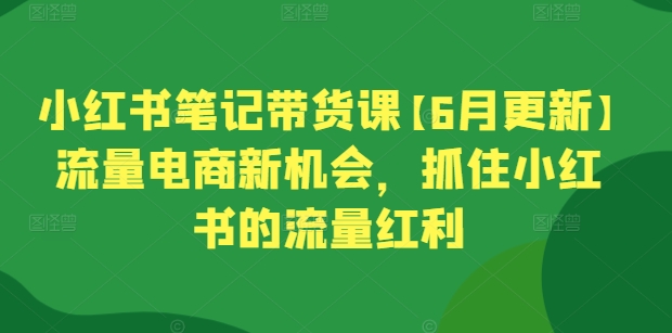 小红书笔记带货课【6月更新】流量电商新机会,抓住小红书的流量红利-网创猫