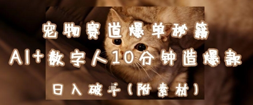 宠物赛道爆单秘籍：AI+数字人10分钟造爆款，日入1k-网创猫