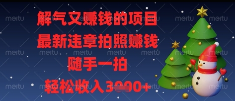 解气又挣钱的项目，最新违章拍照挣钱，随手一拍，轻松收入多张【揭秘】-网创猫