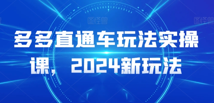 多多直通车玩法实操课，2024新玩法-网创猫