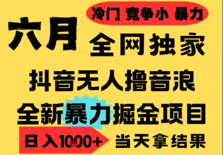 25年6月高爆抖音无人直播最新撸音浪掘金项目，小白可做，无脑日入1k+，门槛低可批量矩阵-网创猫