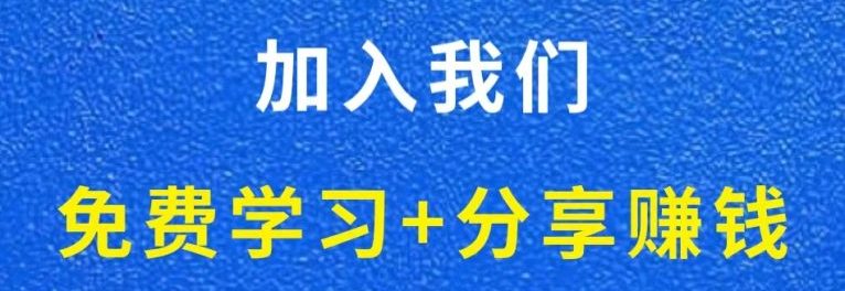 白菜价解锁20000+N个赚钱机会，加入网创猫会员，全站资源免费学习。-网创猫