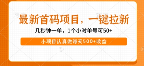 最新首码项目，操作最简单，收益高，一键拉新，1个小时单号可50+，小项目认真做每天5张+收益-网创猫