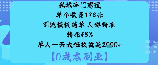 私域冷门赛道:单个收费198米引流模板简单人群精准转化45%单人一天大概收益是1k+-网创猫