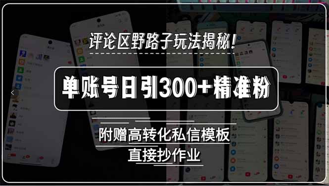评论区野路子玩法揭秘！单账号日引300+精准粉，附赠高转化私信模板，直…-网创猫
