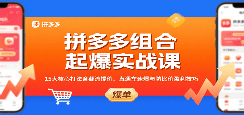 拼多多组合起爆实战课：15大核心打法含截流提价、直通车速爆与防比价盈利技巧-网创猫