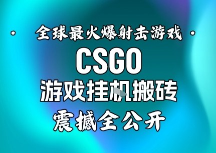 【年底大揭秘】基于全球最火爆的射击CSGO游戏挂G搬砖，日入5张+，震撼公开-网创猫