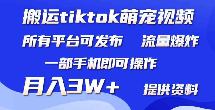 （9618期）搬运Tiktok萌宠类视频，一部手机即可。所有短视频平台均可操作，月入3W+-网创猫
