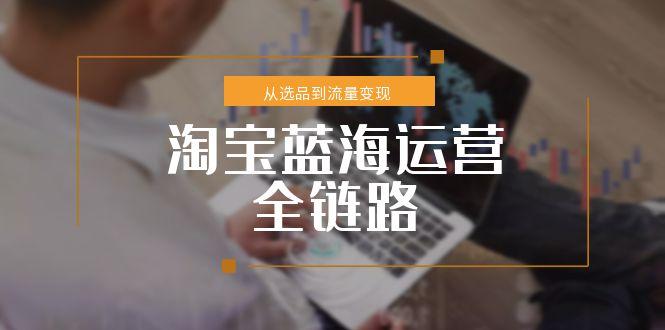 淘宝蓝海运营全链路，从选品到流量变现，小类目突围完整方案-网创猫