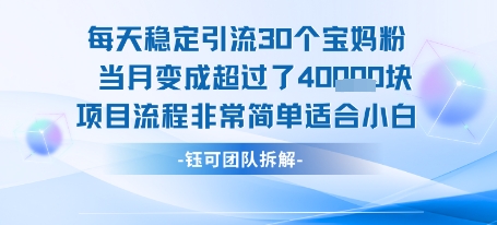 每天稳定引流30个人 当月变成超过了4个W项目流程非常简单适合小白-网创猫
