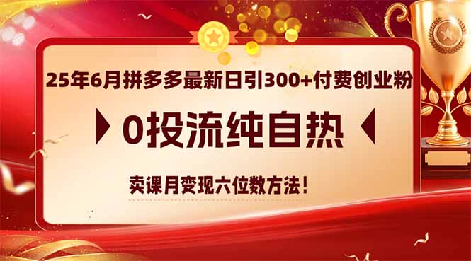25年6月拼多多最新日引300+付费创业粉，0投流纯自热 卖课月变现六位数方法-网创猫