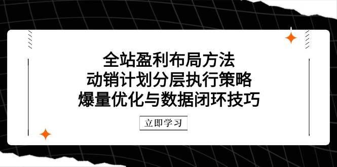 全站盈利布局方法：动销计划分层执行策略，爆量优化与数据闭环技巧-网创猫