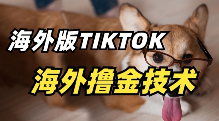 抖音海外版tiktok撸金技术，这个风口行业，赚钱真的不难-网创猫