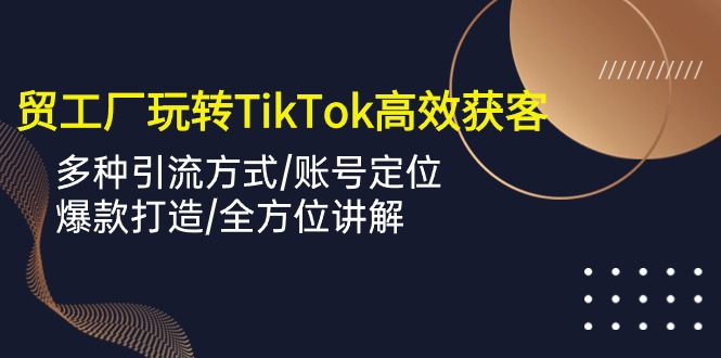 外贸工厂玩转TikTok高效获客，多种引流方式/账号定位/爆款打造/全方位讲解-网创猫