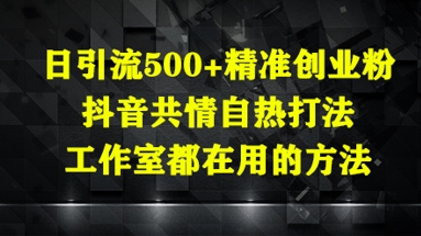 日引流500+精准创业粉，抖音共情自热打法，工作室都在用的方法-网创猫