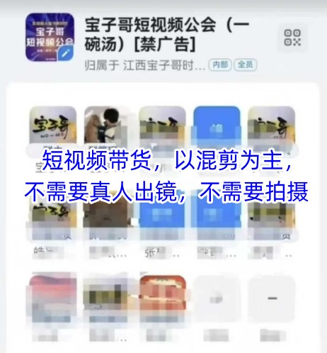 宝子哥头部团队短视频带货，以混剪为主，不需要真人出镜，不需要拍摄【更新8月】-网创猫