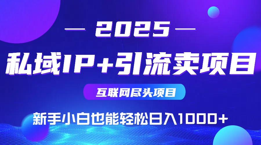 2025网创尽头项目，私域IP+引流，新手小白也能在家日入1000+-网创猫