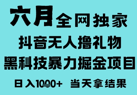 25年6月高爆抖音无人直播最新撸音浪掘金项目，门槛低小白可做，无脑日入1k，可矩阵放大-网创猫