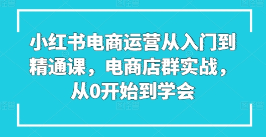 小红书电商运营从入门到精通课，电商店群实战，从0开始到学会-网创猫