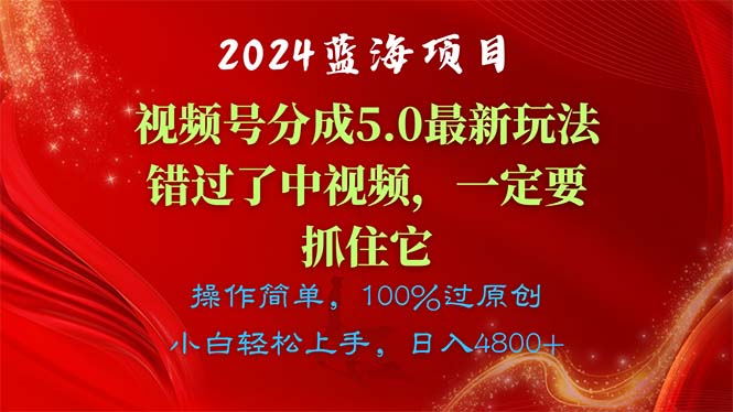 （11032期）2024蓝海项目，视频号分成计划5.0最新玩法，错过了中视频，一定要抓住…-网创猫
