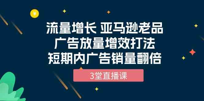 （10112期）流量增长 亚马逊老品广告放量增效打法，短期内广告销量翻倍（3堂直播课）-网创猫
