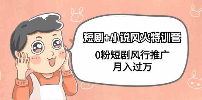 （9374期）短剧+小说风火特训营，0粉短剧风行推广，月入过万（102节课）-网创猫