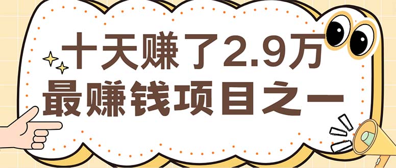（12491期）闲鱼小红书赚钱项目之一，轻松月入6万+项目-网创猫
