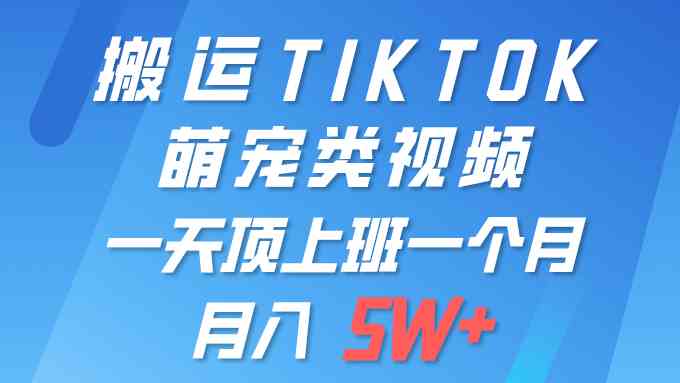 （9931期）一键搬运TIKTOK萌宠类视频 一部手机即可操作 所有平台均可发布 轻松月入5W+-网创猫