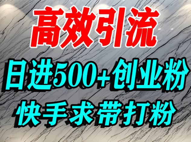 怎么打创业粉？快手求带视角精准引流创业粉，宝妈、学生群体日进500+精准流量-网创猫