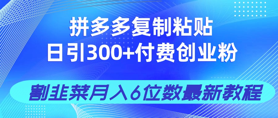 拼多多复制粘贴日引300+付费创业粉，割韭菜月入6位数最新教程！-网创猫