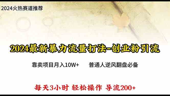 （10151期）2024年最新暴力流量打法，每日导入300+，靠卖项目月入10W+-网创猫