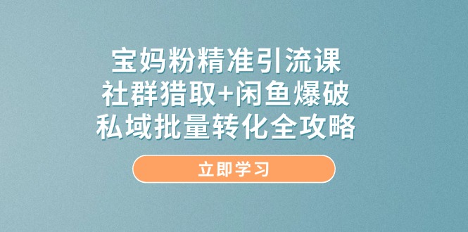 宝妈粉精准引流课，社群猎取+闲鱼爆破，私域批量转化全攻略-网创猫