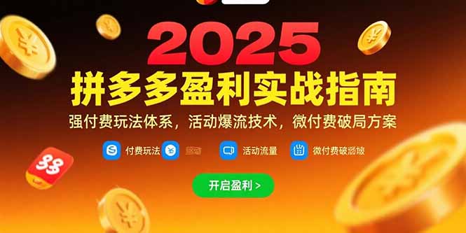 拼多多盈利实战指南，强付费玩法，活动爆流技术，微付费破局方案(更新7月)-网创猫