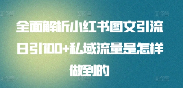 全面解析小红书图文引流日引100+私域流量是怎样做到的-网创猫