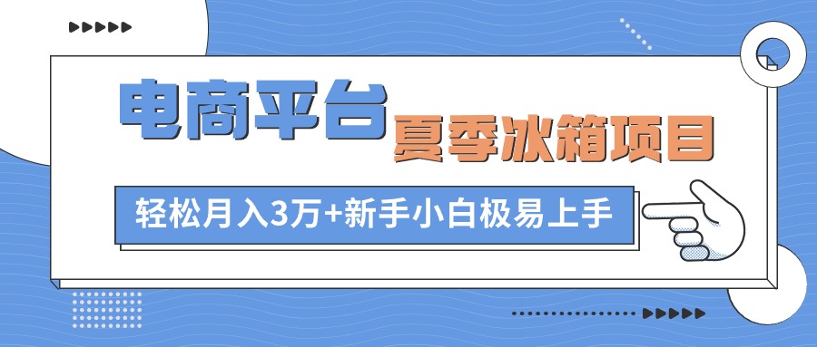（10934期）电商平台夏季冰箱项目，轻松月入3万+，新手小白极易上手-网创猫