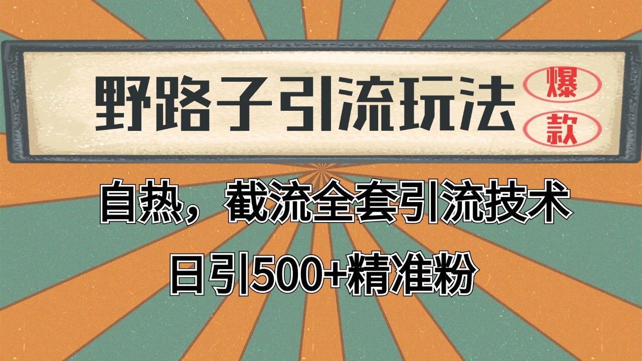 2024首发野路子引流玩法截流自热全平台打法，全自动引流【日引2000+精准客户】-网创猫
