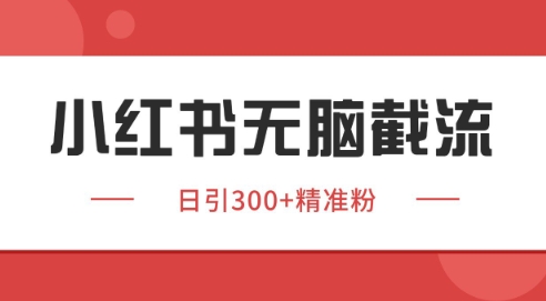 小红书截流同行客源，独家野路子获客玩法 日引200+暴力获客-网创猫