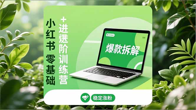 小红书零基础+高阶训练营：安全养号、爆款拆解、长效运营，实现稳定涨粉与变现-网创猫