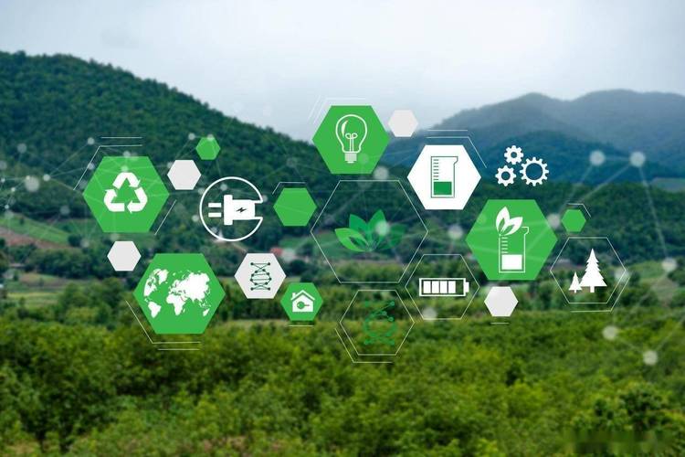 2025年普通人如何靠碳赚钱-网创猫