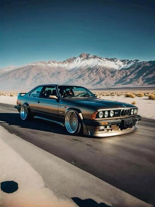 跨境DTC品牌出海2.0:2025年借助AI与社媒,单点突破全球小众市场